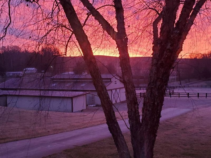 2604 Boyers Chapel Road, Sadieville, KY 40370 Photo 49