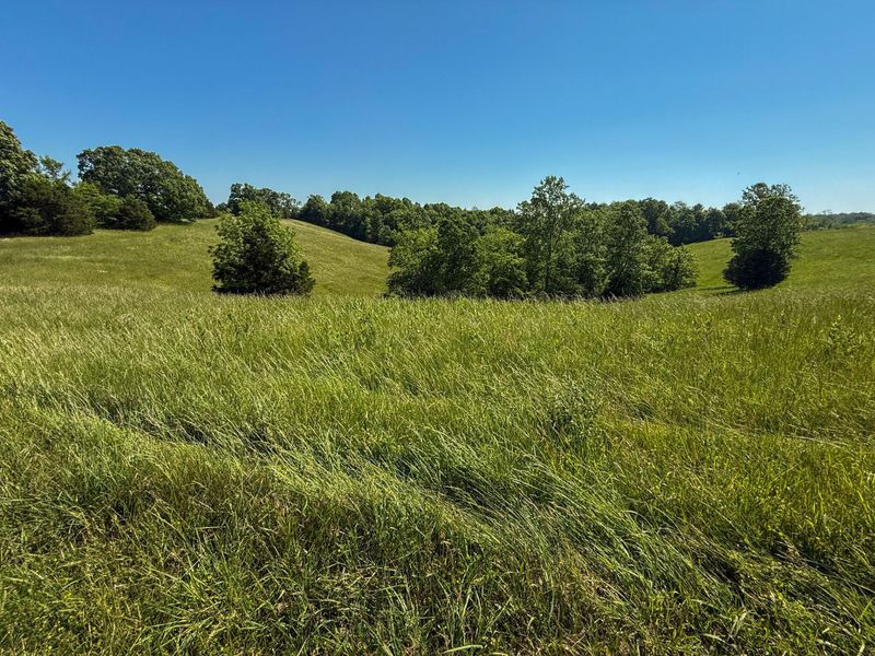 2604 Boyers Chapel Road, Sadieville, KY 40370 Photo 5