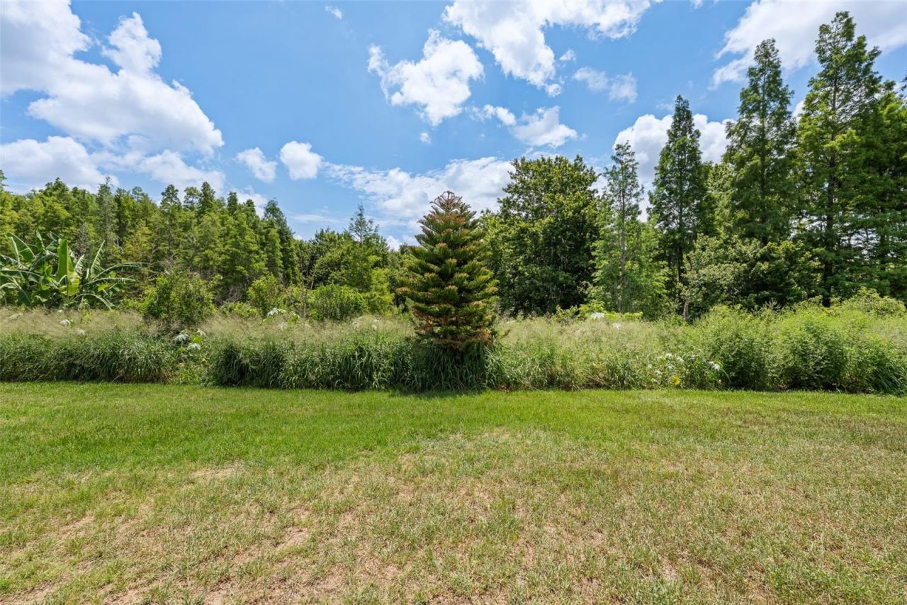 2212 Landside Drive, Valrico, FL 33594 Photo