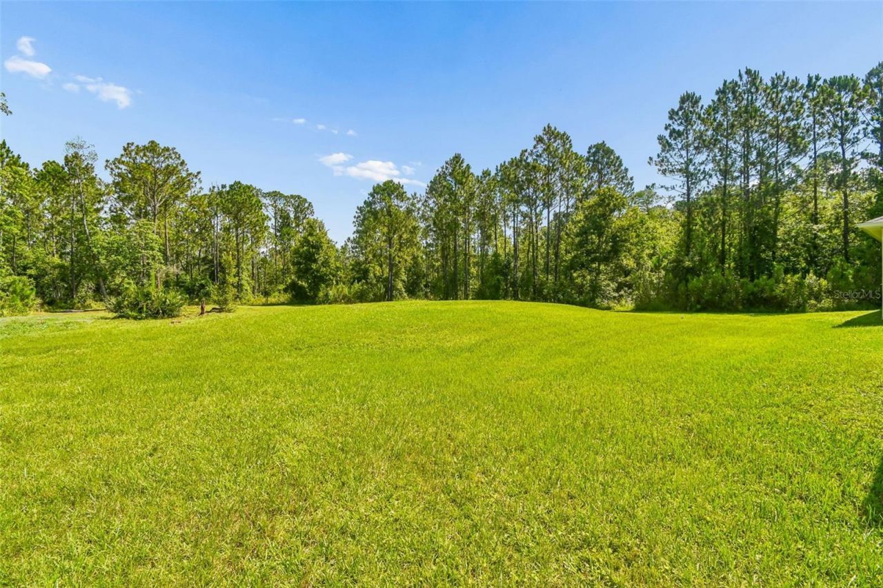 4629 Herin Drive, New Smyrna Beach, FL 32168 Photo