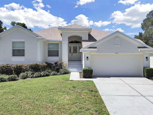 1025 LAKE AVOCA PLACE, TARPON SPRINGS, FL 34689