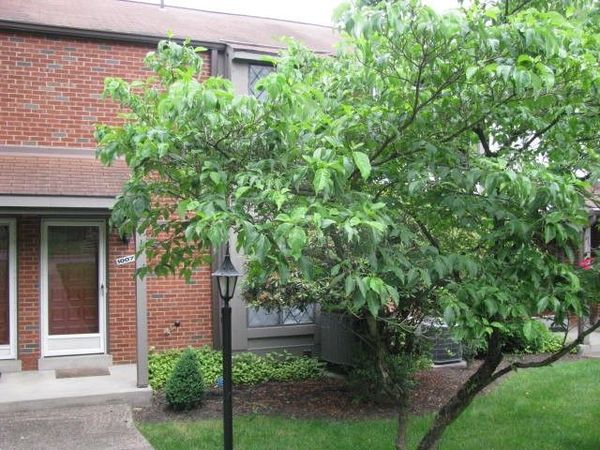 1007 Sewickley Heights Dr , Sewickley, PA 15143