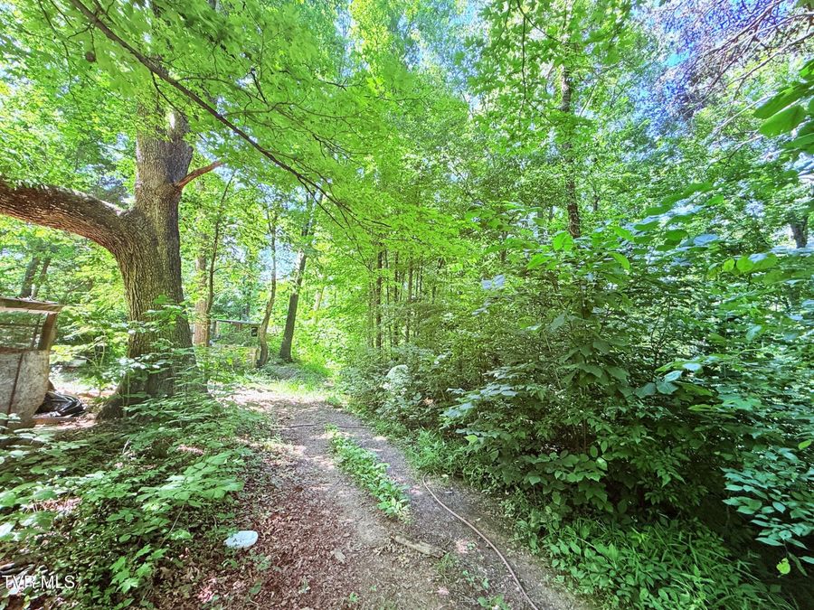 Property Image 29