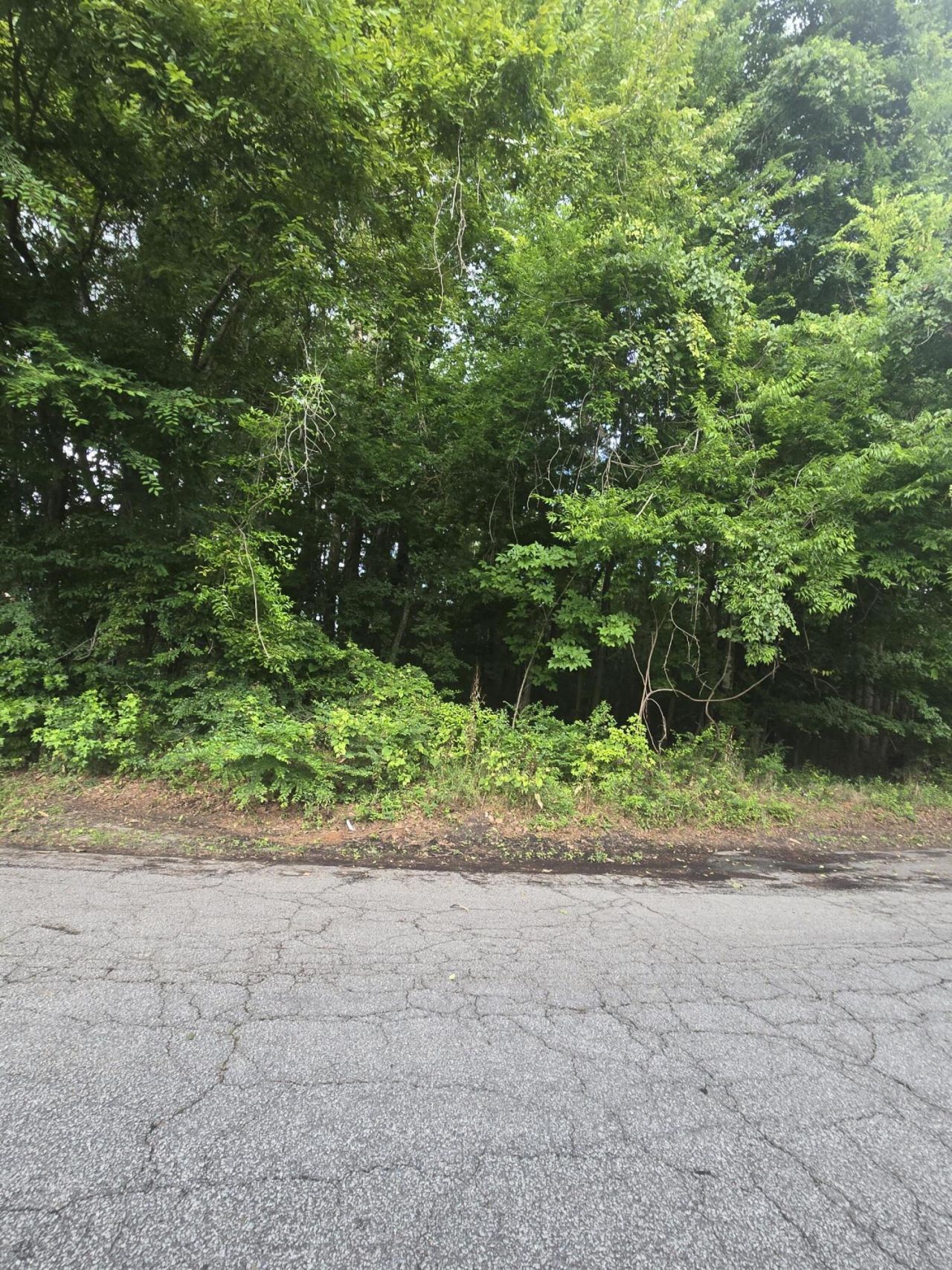 0 Judith Lot 2 Drive Photo 4