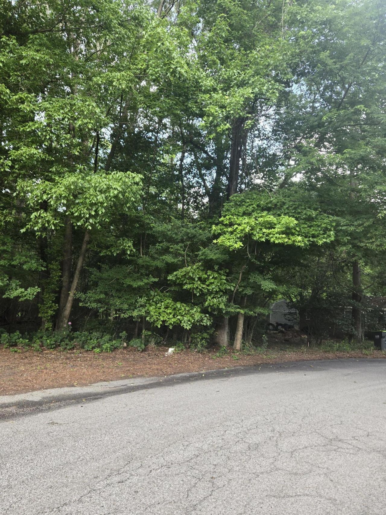 0 Judith Lot 2 Drive Photo 5
