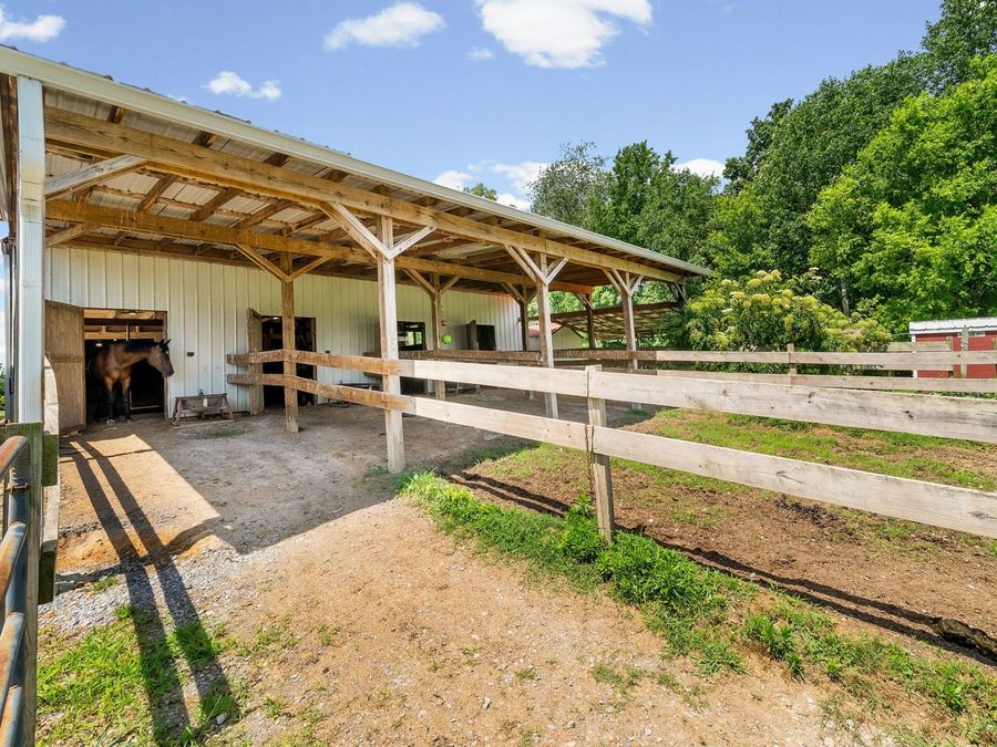 Property Image 61