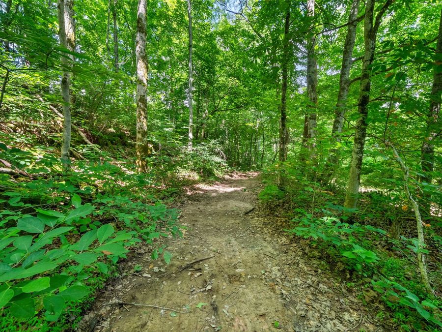 Property Image 65