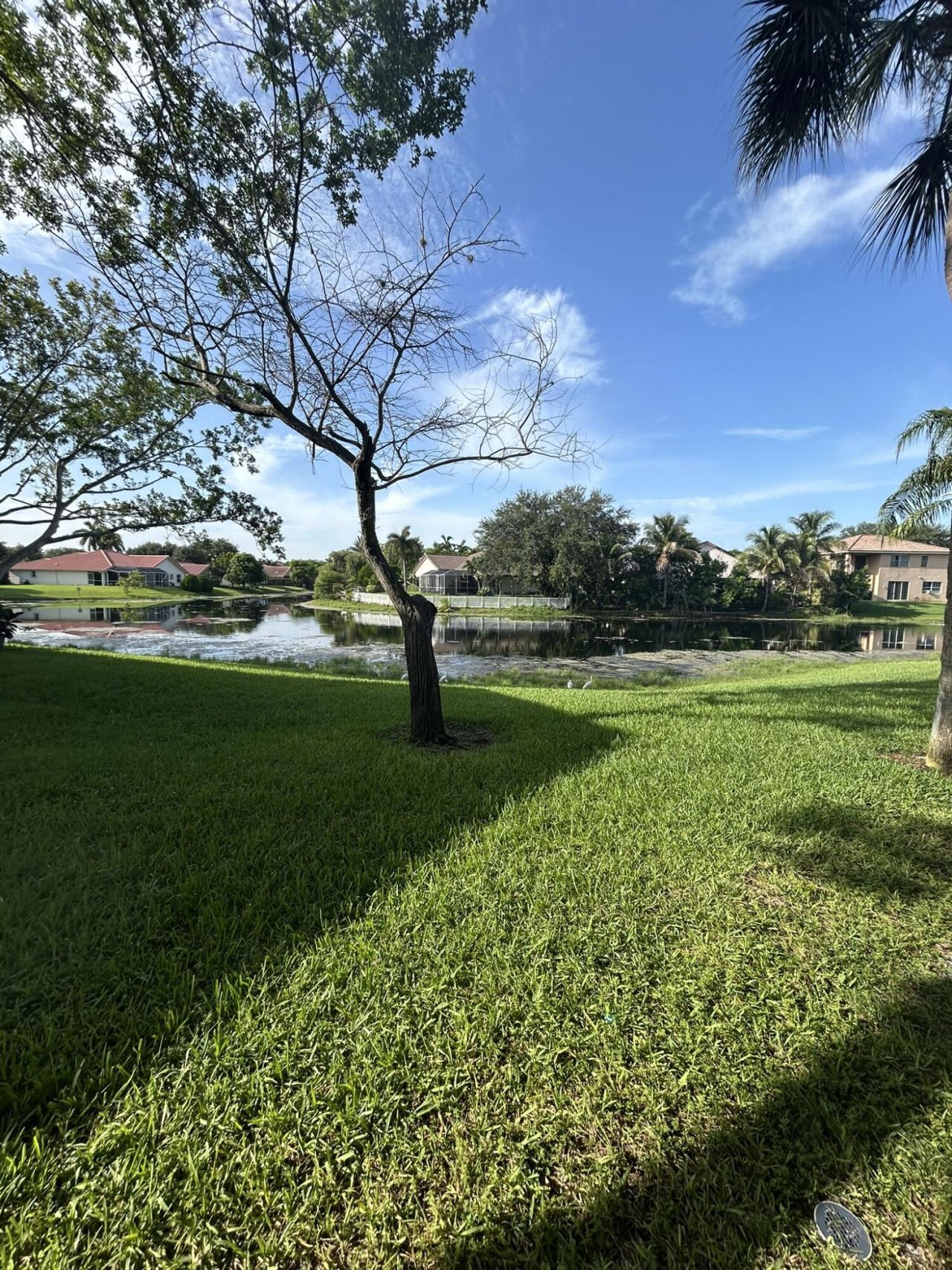 450 W Palm Cir Circle W, Unit 103, Pembroke Pines, FL 33025 Photo