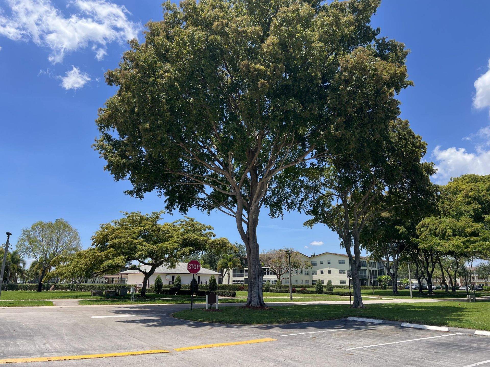 36 Mansfield A, Boca Raton, FL 33434 Photo