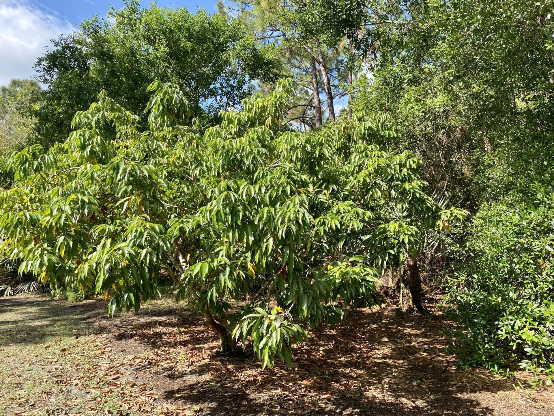 12216 184th Court N, Jupiter, FL 33478 Photo