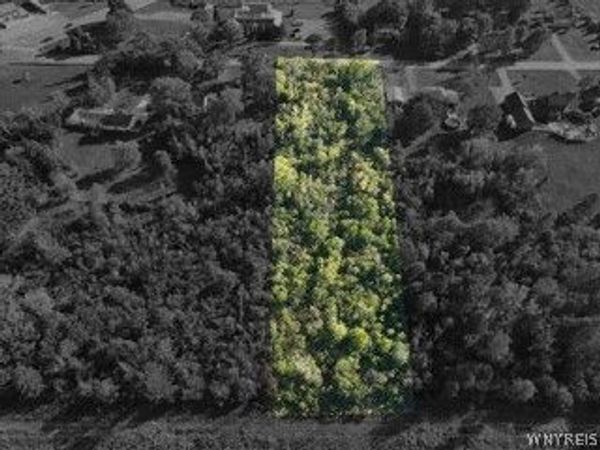 986 Sturgeon Point Road, Derby, NY 14047