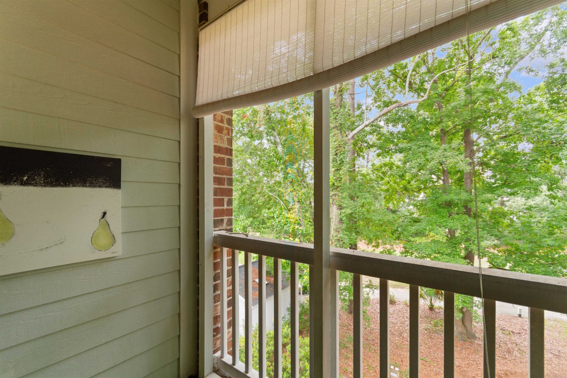 694 Riverwalk Dr.  Photo 25