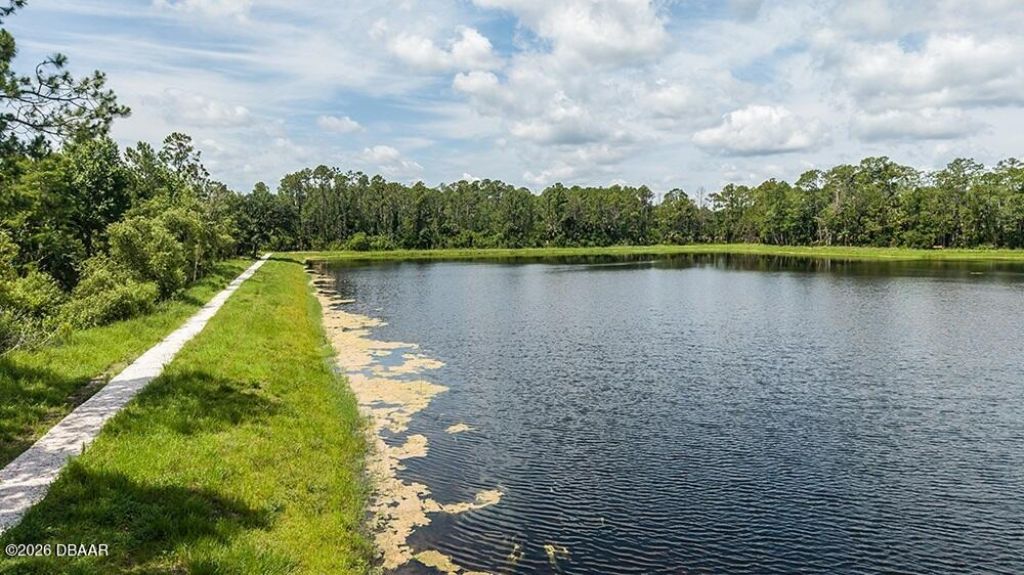 672 Junonia Boulevard, New Smyrna Beach, FL 32168 Photo