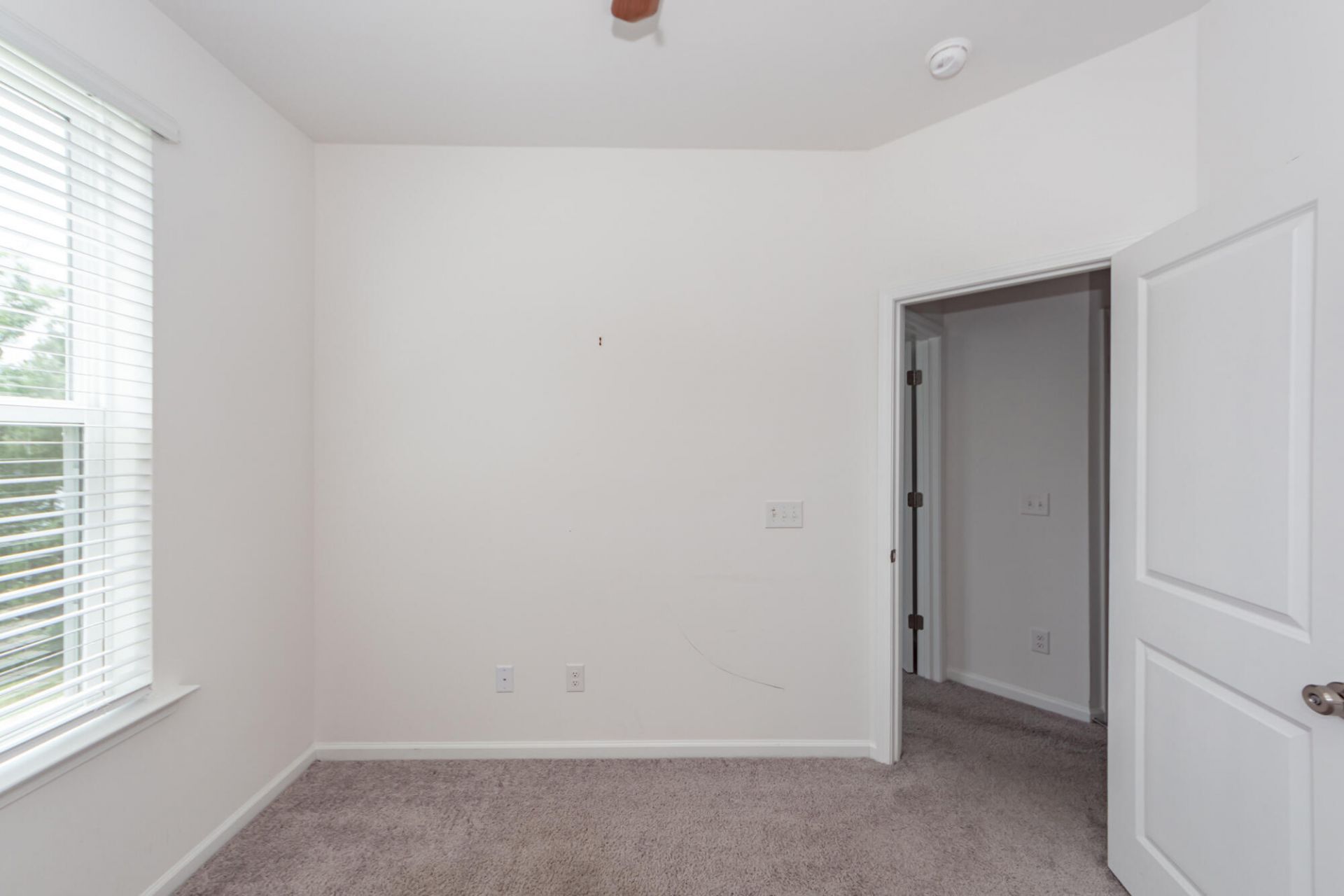 359 Herty Park Drive Photo 36