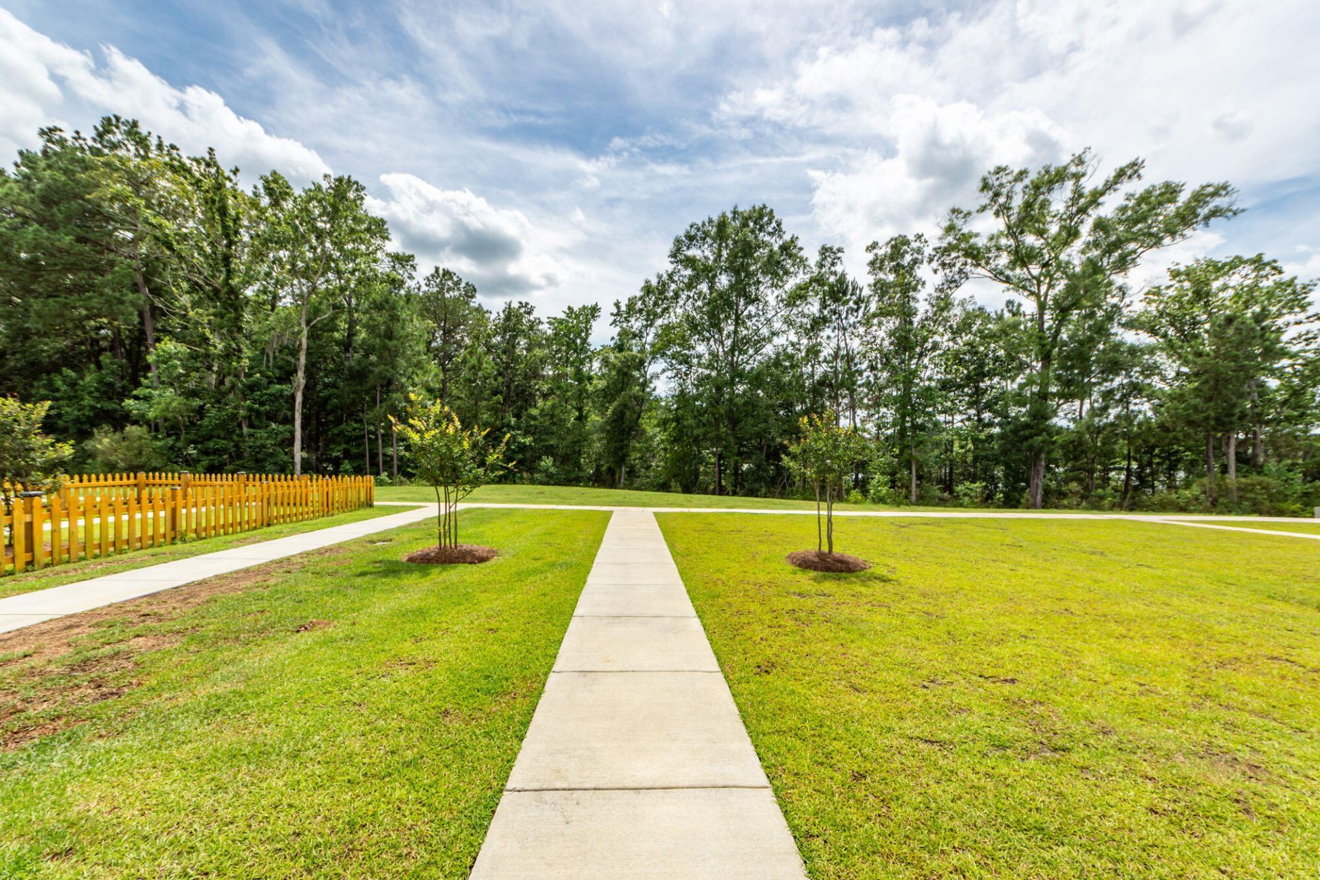 359 Herty Park Drive Photo 43