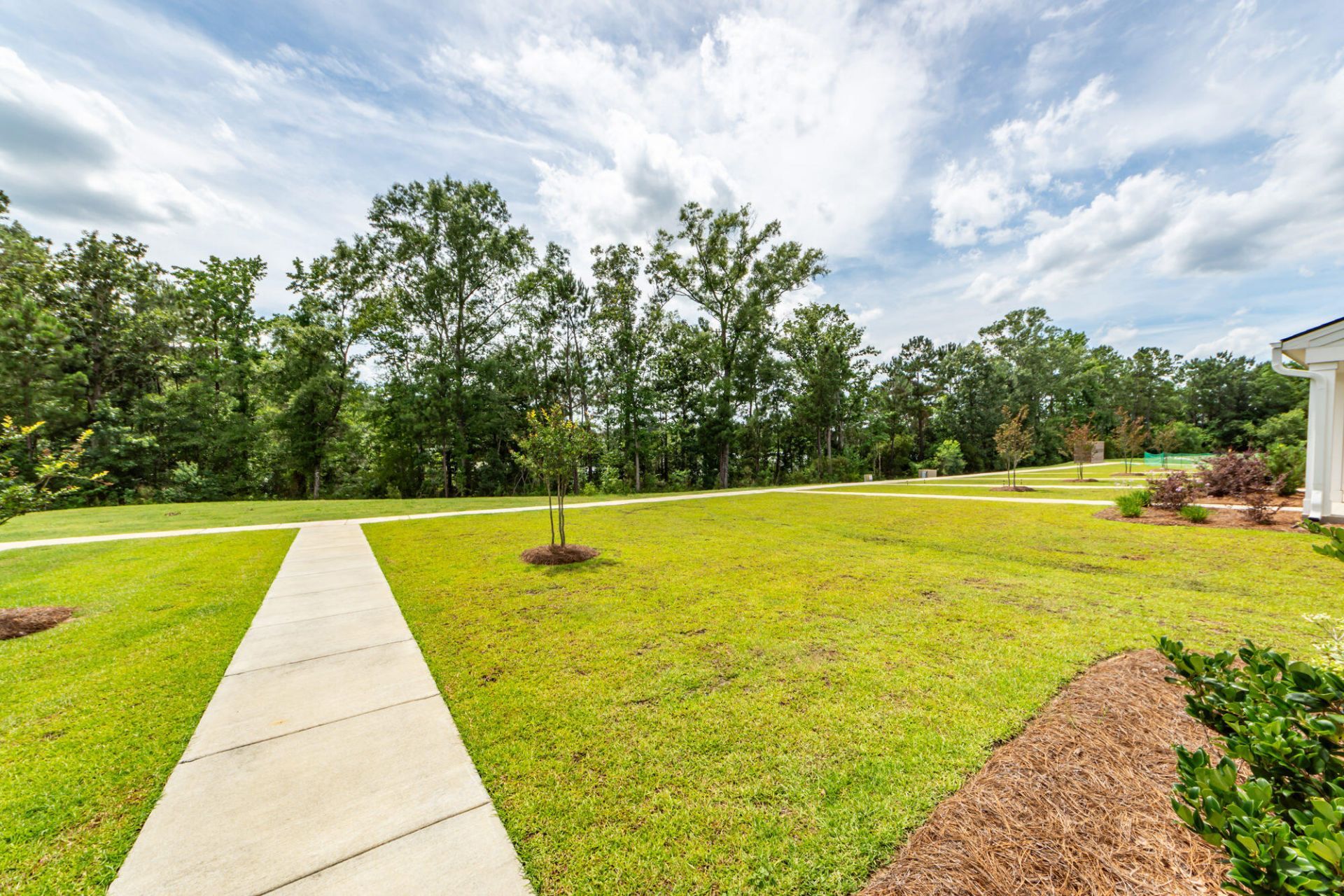 359 Herty Park Drive Photo 44