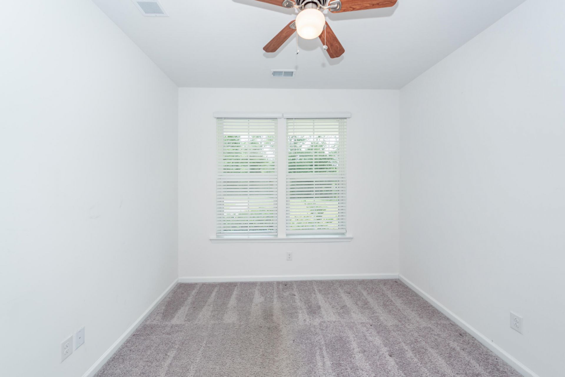 359 Herty Park Drive Photo 5