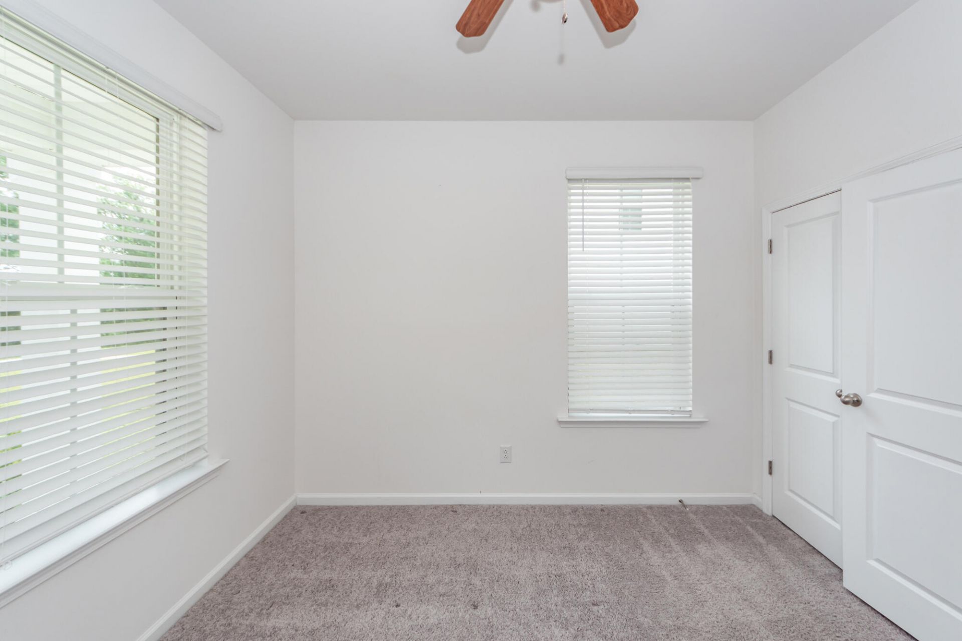 359 Herty Park Drive Photo 6