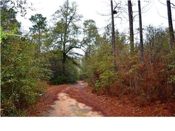 15370 Morgan Lane N, Wilmer, AL 36587