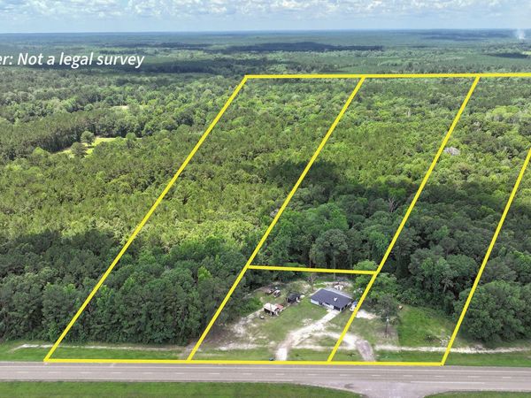 TBD HWY 171, Hornbeck, LA 71439