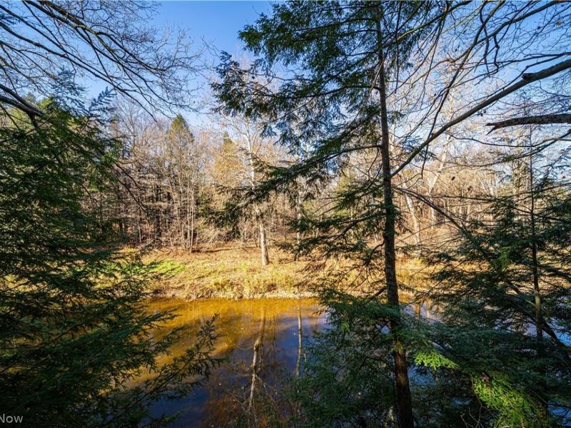 4281 N Forest Ridge Drive, Ashtabula, OH 44004 Photo 32