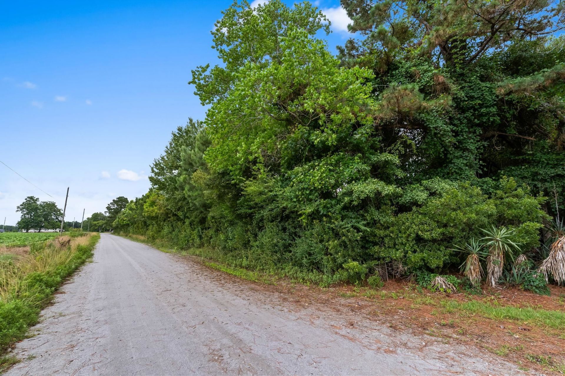 Tract 2 Smith Rd. Photo 6