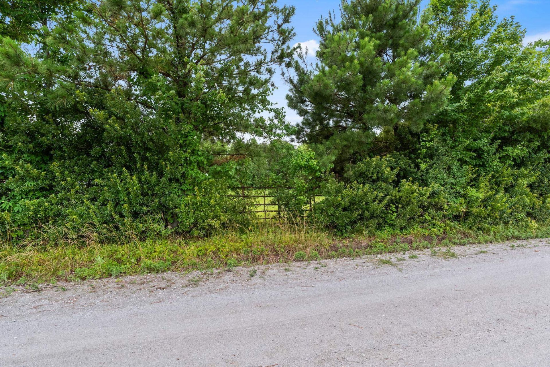 Tract 2 Smith Rd. Photo 7
