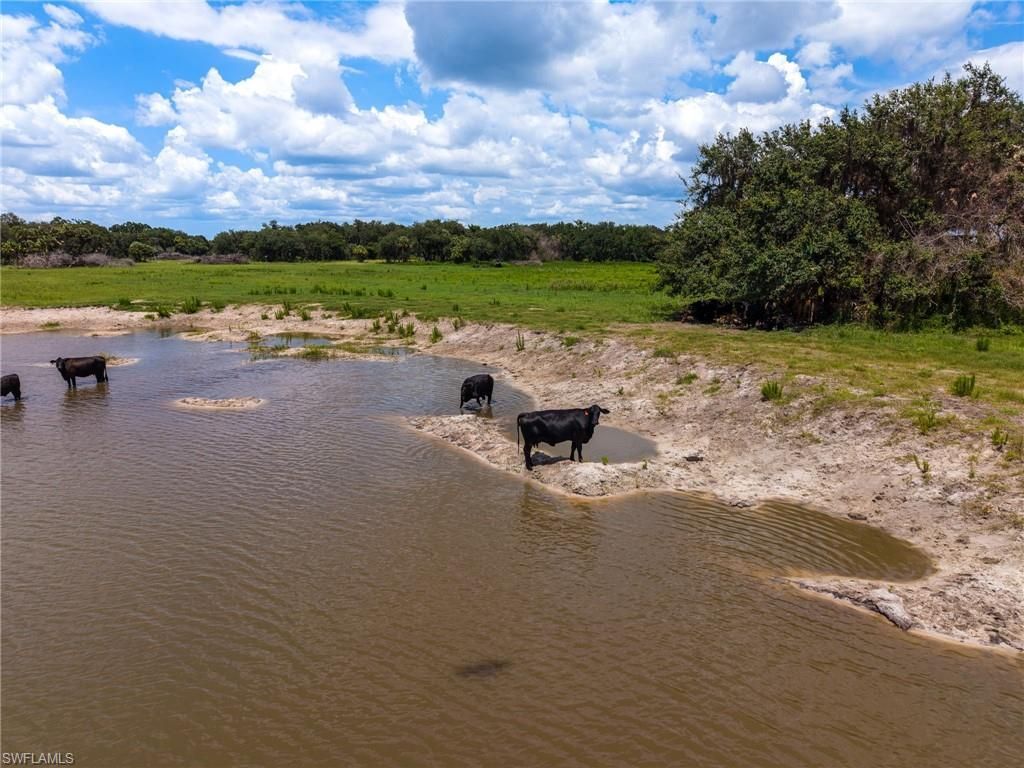 12500 Cr-833 , Clewiston, FL 33440 Photo