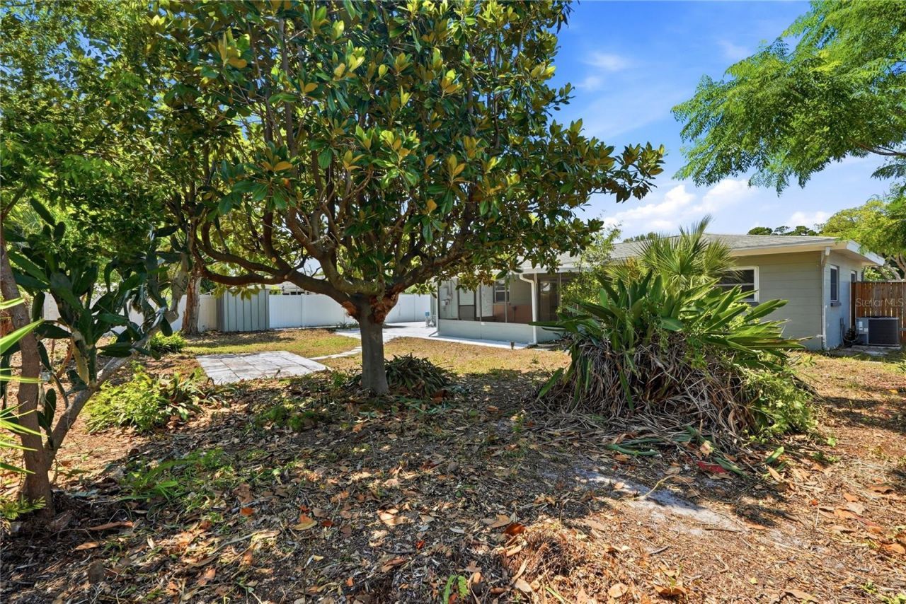 5586 30th Avenue N, Saint Petersburg, FL 33710 Photo