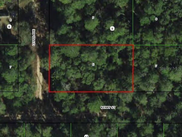 306 LITTLE AVENUE , INVERNESS, FL 34452