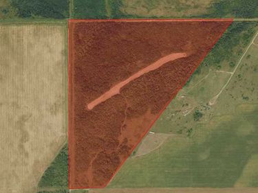 134 County Rd, Salol, MN 56763