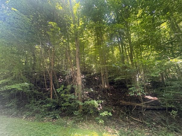 2.33 acr Flat Rock Valley Road, Blairsville, GA 30512