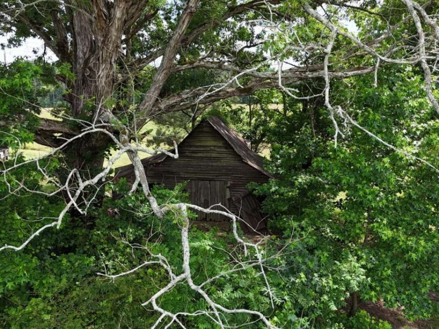 Property Image 28