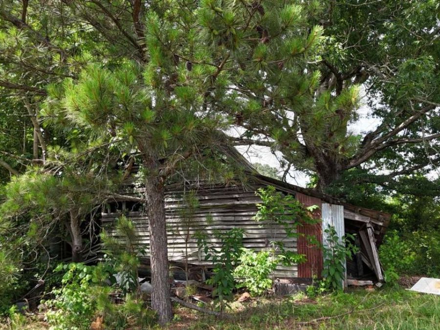 Property Image 33