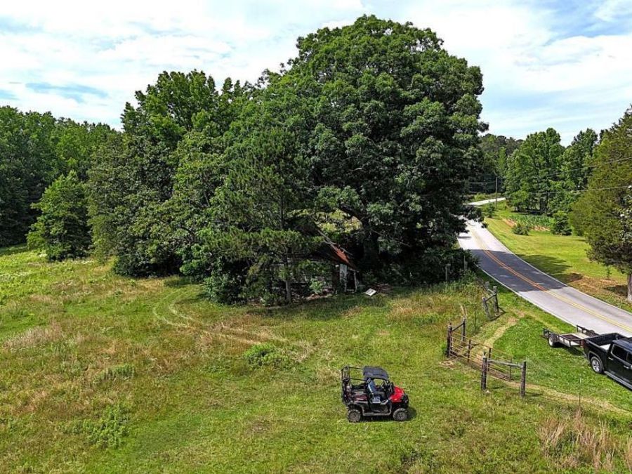 Property Image 36