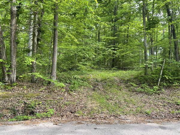 1 Doug Thompson Rd , Unit 1, Franklin, TN 37064