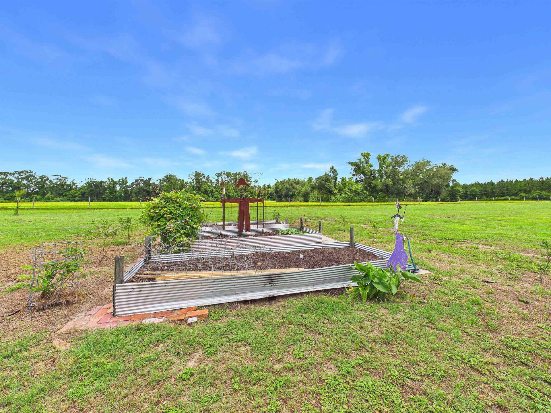 4764 SW Fellowship Road, Greenville, FL 32331 Photo