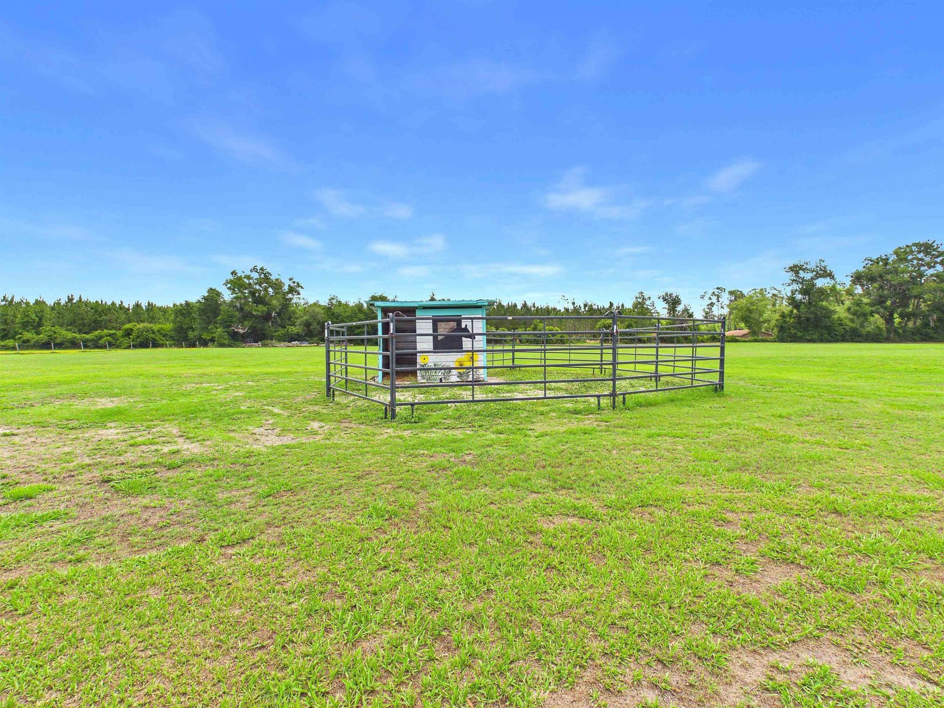 4764 SW Fellowship Road, Greenville, FL 32331 Photo
