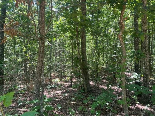1 County Road 750 , Centerville, MO 63633
