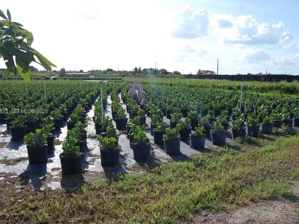 13648 SW 177 ave , Homestead, FL 33196