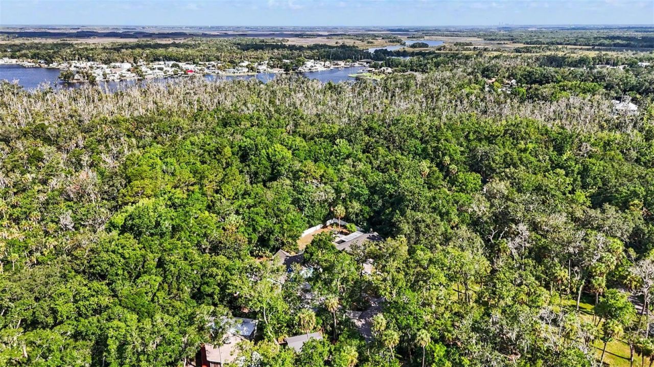 4586 S Flambeau Loop , Homosassa, FL 34448 Photo