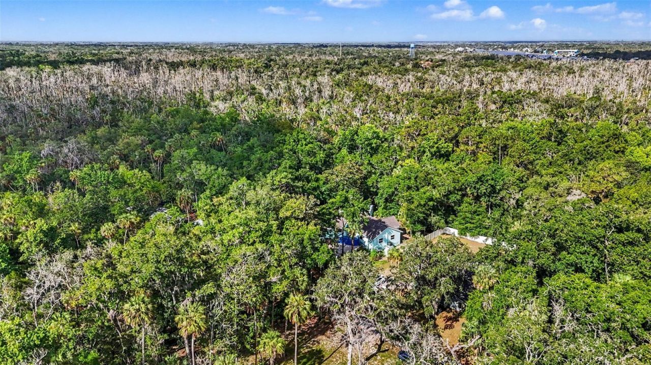 4586 S Flambeau Loop , Homosassa, FL 34448 Photo