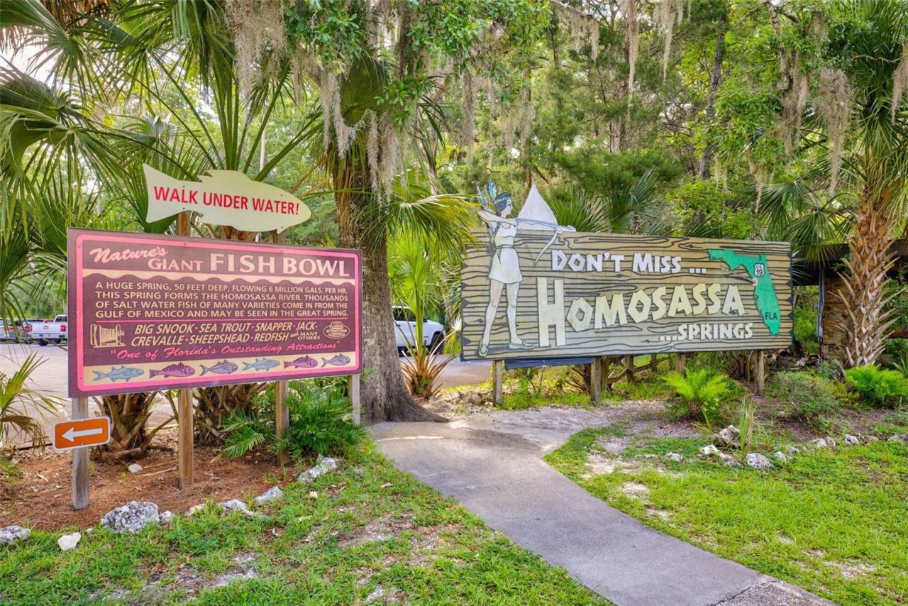 4586 S Flambeau Loop , Homosassa, FL 34448 Photo