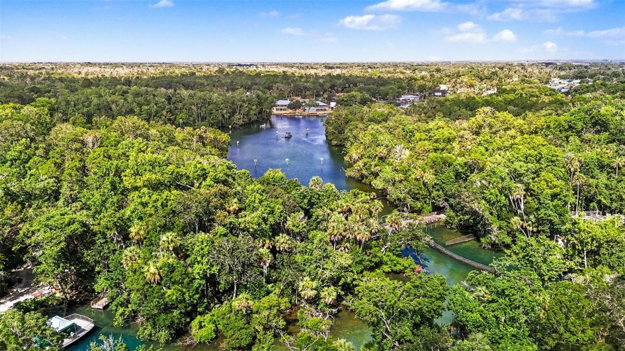 4586 S Flambeau Loop , Homosassa, FL 34448 Photo