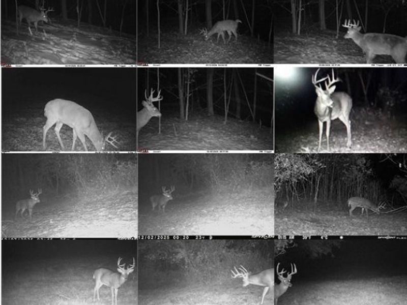 28957 TR 240, Fresno, OH 43824 Photo 50