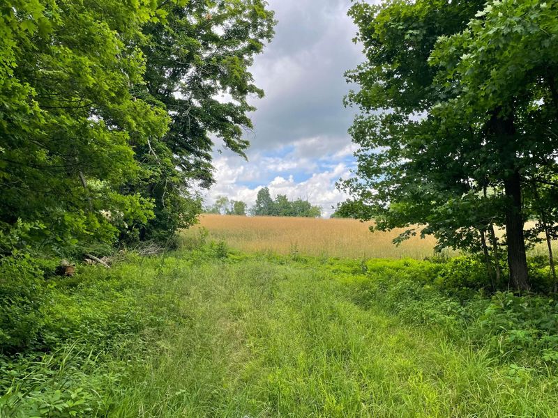 0 Township Rd 98, Thornville, OH 43076 Photo 3
