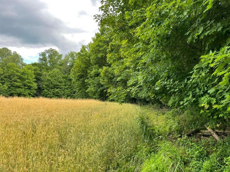0 Township Rd 98, Thornville, OH 43076 Photo 4