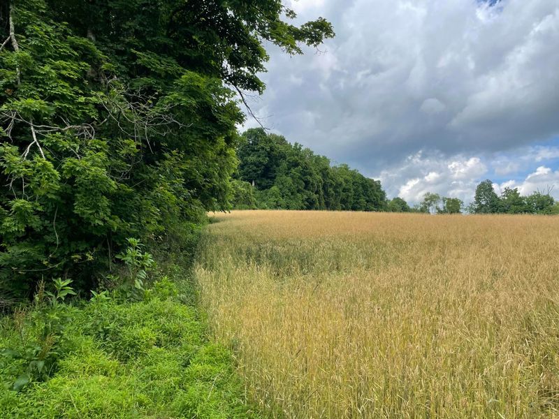 0 Township Rd 98, Thornville, OH 43076 Photo 5