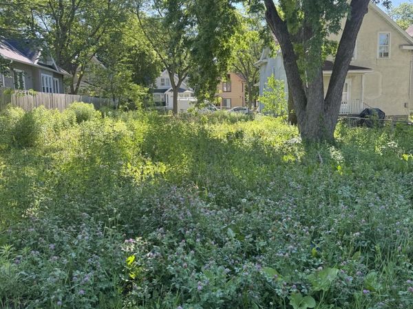 2915 Colfax Avenue N, Minneapolis, MN 55411