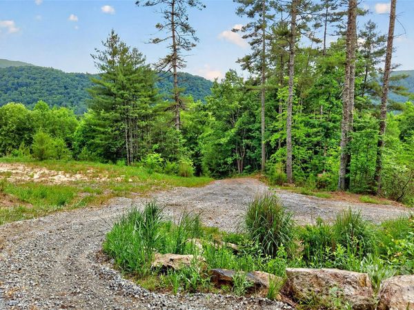 263 E Lester Lane, Hendersonville, NC 28739